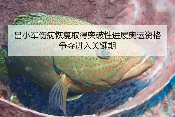 吕小军伤病恢复取得突破性进展奥运资格争夺进入关键期